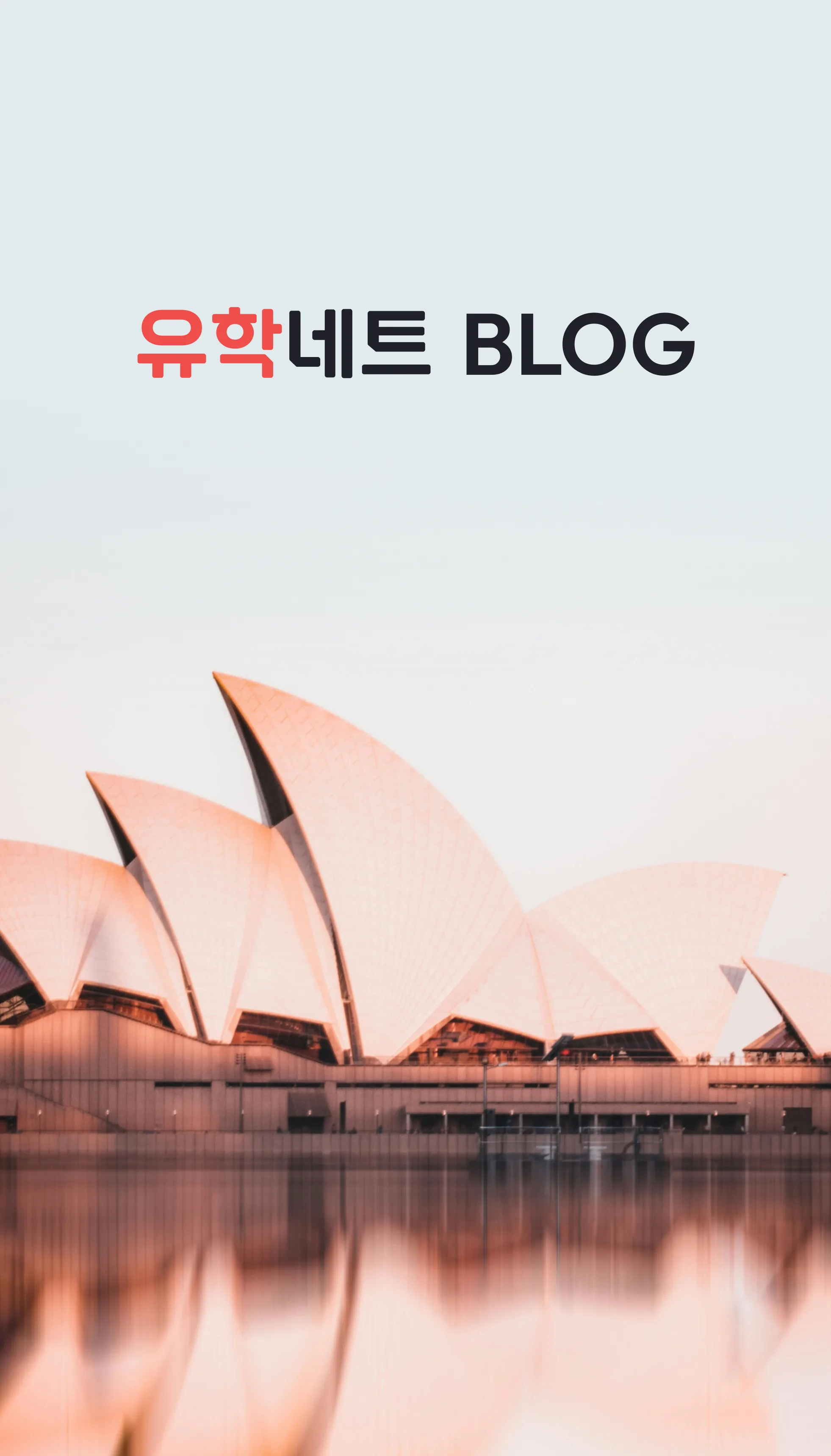 반응형홈페이지제작-SEO 최적화 블로그 솔루션(유학네트)